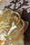 Detail View (Cream Version)