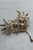 Gift Brooch