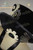 Last Chance: Dandy Steampunk series: Clockwork Velveteen Top Hat*All Black Instant Shipping