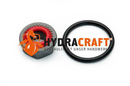 Dichtsatz Bosch Rexroth Druckbegr.Ventil R902166399 (78244765)