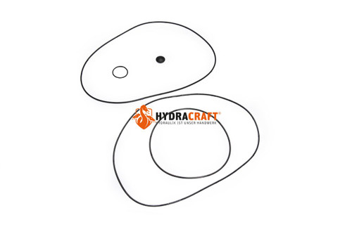 Dichtsatz Poclain B76141L (78353095)