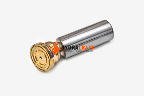 Kolben Bosch Rexroth A10VG45 R902087180 (78245448)