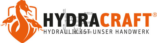 Rückschlagventil Bosch Rexroth 043123008501000 hydraulisch betätigt (78024058)