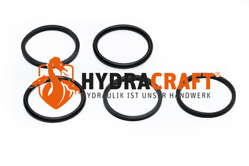 Dichtsatz Parker K220LS 9120092355  (78034159)