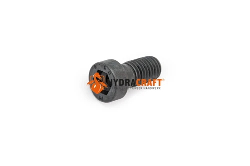 Zylinderschraube Bosch Rexroth DIN 6912 M12x25 8.8 (78343384)