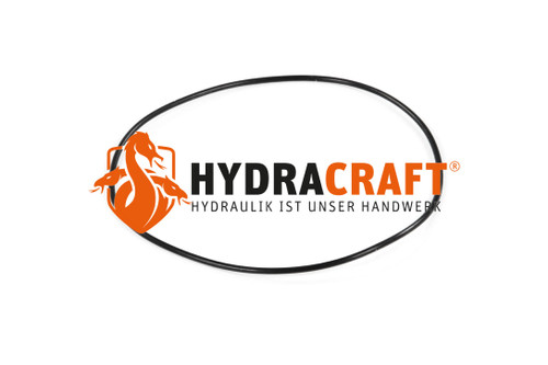 O-Ring Parker Gold Cup P6/P7/P8 Kit 100 EA (78244224)