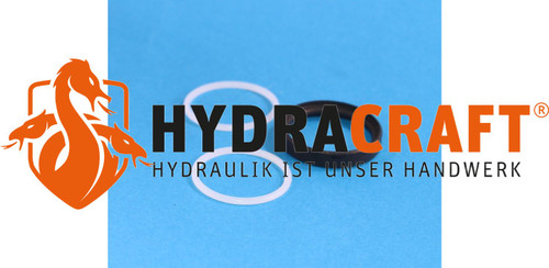 Dichtungsset CEJN Multi-X Nippelseite DN19 NBR (T-Profil) Classic / GII (41000200)