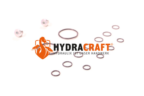 Dichtsatz Parker SK-D31FB (78017035)