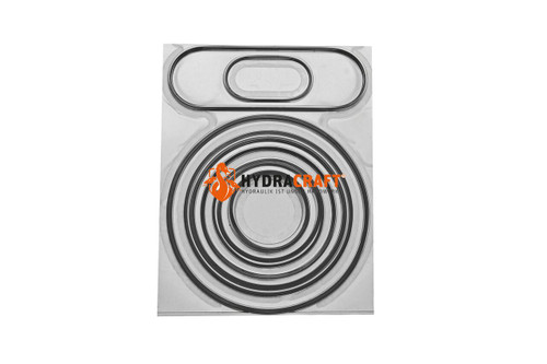 Dichtsatz Bosch Rexroth Speisepumpe A4VG125/32 (78245141) Dichtsatz Bosch Rexroth Speisepumpe A4VG125/32 (78245141)