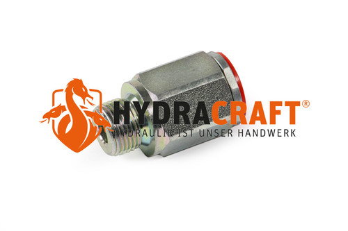 Cejn WEO Kupplung G 3/8" G-Außengewinde  (41000182)