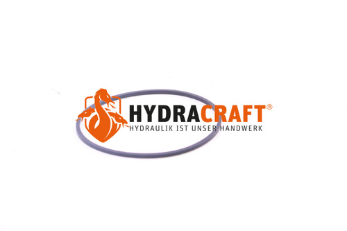 O-Ring Montageflansch Axialkolbenpumpe Hydro Leduc XPi (78244305)