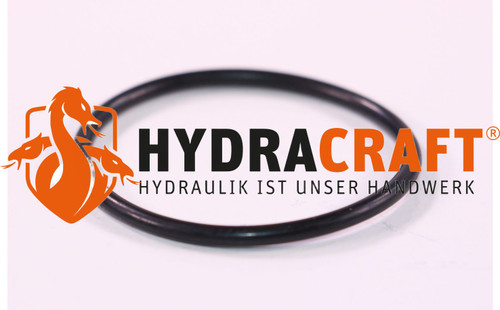 O-Ring N 02.079-39,34X2,62-S-NBR90 Bosch Rexroth 909085545  (78244156)