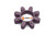 Zahnkranz Rotex 65 Lila 98° (78521033)