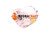 Zahnradmotor Parker PGM511A0140BL6H2NE3E3B1B1G4 (78311095)