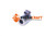 Magnetspule Bosch Rexroth R900315818 GZ37-CLASS H U: 12VDC b: 37 d: 19 h: 50 Watt: 22 (78613037)