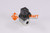 Magnetspule SPSES08024DGH U: 24VDC b: 32 d: 13 h: 40 Watt: 24 (78621022)