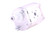 Zahnradpumpe Casappa PLP20.20D0-54B4-L-BE/BC-N-EL-FS (78211391)