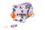 Frontsektion Casappa KP30.73D0-83E3-LED/EB-67N4-N-A (78214054)