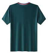 Wales 95/96 Men's Away Retro Shirt