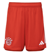 DE LIGT #4 Bayern Munich 23/24 Authentic Men's Home Shirt