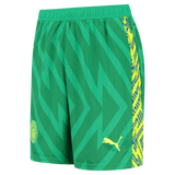 Manchester City 23/24 Men's Green Goalkeeper Shirt