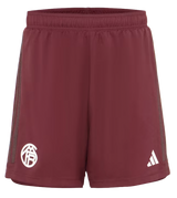 DE LIGT #4 Bayern Munich 23/24 Stadium Men's Third Shirt