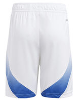 Italy 2024 Authentic Men's Home Shirt