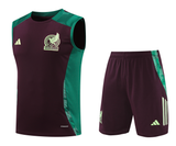Mexico 2024 Men's Bordeaux Training Tank Top