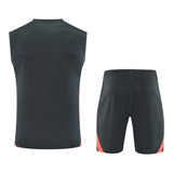 Bayern Munich 25/26 Men's Gray Training Tank Top