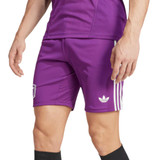 Aston Villa 25/26 Men's Purple Goalkeeper Shirt