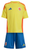 Colombia 2024 Kid's Home Shirt and Shorts