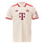 Bayern Munich 24/25 Stadium Men's Third Shirt