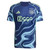 Ajax 25/26 Stadium Men's Away Shirt