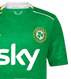 Ireland 24/25 Kid's Home Shirt and Shorts