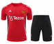 Manchester United 24/25 Men's Red Training Shirt