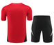 Manchester United 24/25 Men's Red Training Shirt