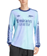 Arsenal 24/25 Men's Third Long Sleeve Shirt