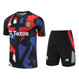 Manchester United 24/25 Men's Pre-Match Shirt