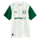 Palmeiras 25/26 Authentic Men's Away Shirt