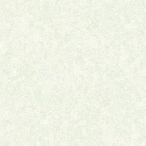 935827 - Versace Plaster Effect Green White AS Creation Wallpaper