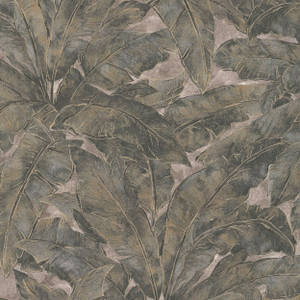 369271 - Metropolitan Stories