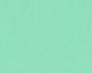 370501 - Versace 4 Plain Green  AS Creation Wallpaper