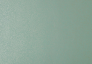1907-141-05 - Elodie Smashed Window Mint 1838 Wallpaper 1907-141-05 - Elodie Smashed Window Mint 1838 Wallpaper