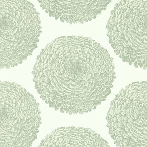 Harlequin 112174 - Momentum 6 Pompom Dahlias Chalk Silver Harlequin Wallpaper roll - luxury design for UK feature walls
