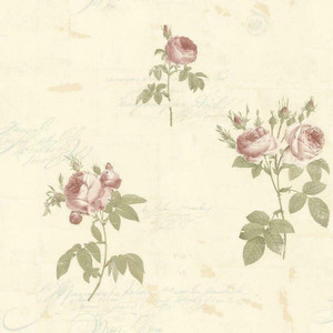 Galerie CG28861 - Rose Garden Roses Calligraphy Pink Galerie Wallpaper roll - luxury design for UK feature walls
