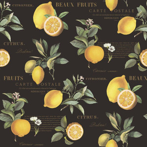 Galerie G45411 - Just Kitchens Citron Botanical Black Yellow Galerie Wallpaper roll - luxury design for UK feature walls