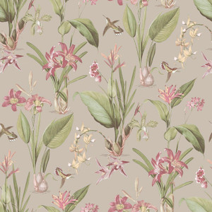 G78507 - Secret Garden Hummingbirds Lillies Taupe, green, Galerie Wallpaper G78507 - Secret Garden Hummingbirds Lillies Taupe, green, Galerie Wallpaper