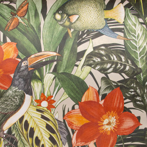 26747 - Tropical Toucans Dragonflies Fish Avocado Galerie Wallpaper 26747 - Tropical Toucans Dragonflies Fish Avocado Galerie Wallpaper