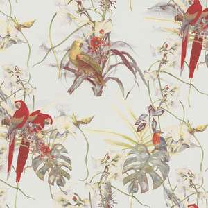 BW51028 - Blooming Wild Exotic Parrot Motif Cream Red White Galerie Wallpaper BW51028 - Blooming Wild Exotic Parrot Motif Cream Red White Galerie Wallpaper