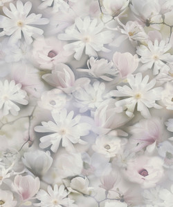BW51031 - Blooming Wild Daisy Motif Grey Green Lilac White Galerie Wallpaper BW51031 - Blooming Wild Daisy Motif Grey Green Lilac White Galerie Wallpaper